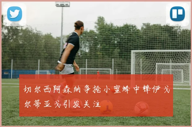 切尔西阿森纳争抢小蜜蜂中锋伊戈尔蒂亚戈引发关注